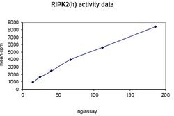 Eurofins DiscoverX RIPK2 Protein, Active 10 &mu;g | Buy Online | Eurofins DiscoverX | Fisher Scientific